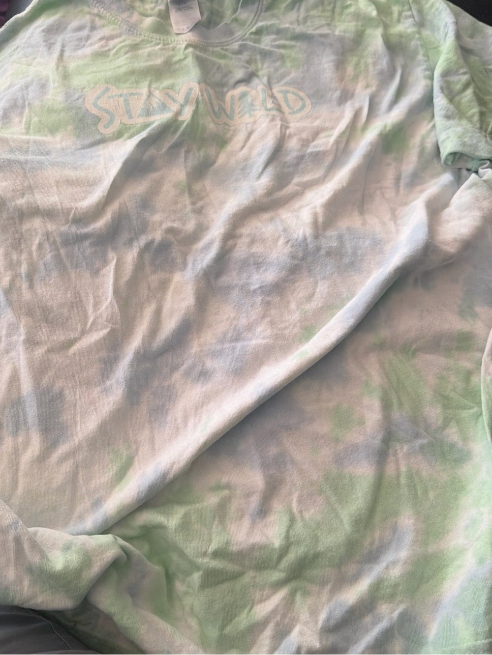 Stay Wild Tie-Dye Short Sleeve Tee - Pastel Green & Blue